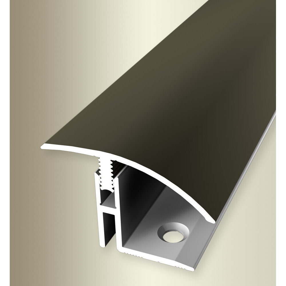 PROVISTON Übergangsprofil Breite 39 mm Einfasshöhe 17 - 22 mm Übergangsschiene