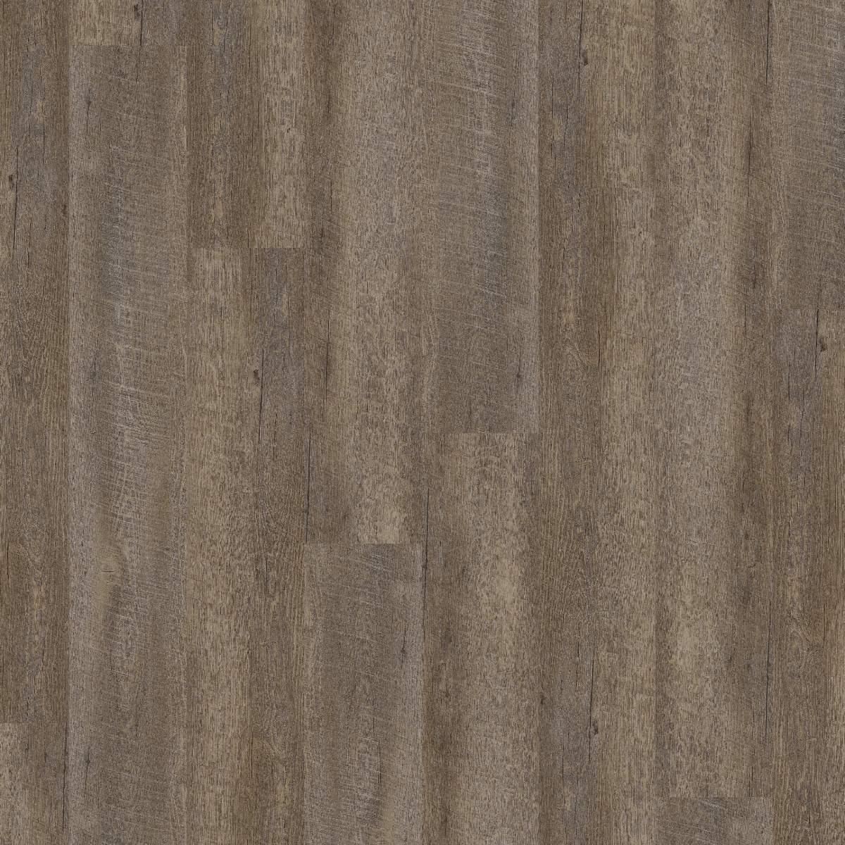 Vinylboden DESIGN 555 Dryback 1219 x 177 x 2.5 mm Klebevinyl Holzoptik Eiche Grau NKL42