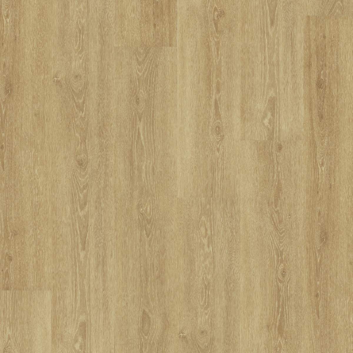 Vinylboden DESIGN 555 Dryback 1500 x 228 x 2.5 mm Klebevinyl Holzoptik Eiche Beige NKL42