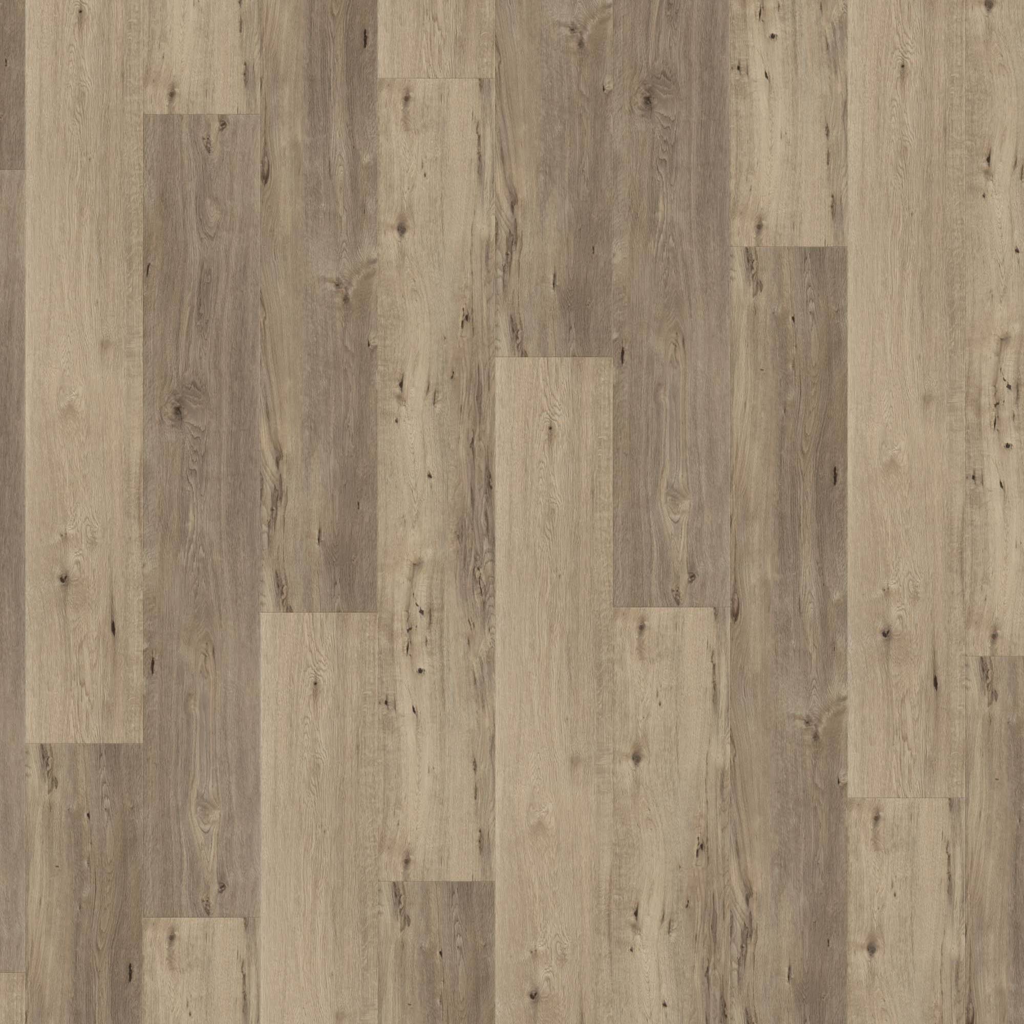 Vinylboden 24H3 8103H Designbelag 1212.4 x 177.35 x 5.5 mm Klick Vinyl Holzoptik Grau NKL31