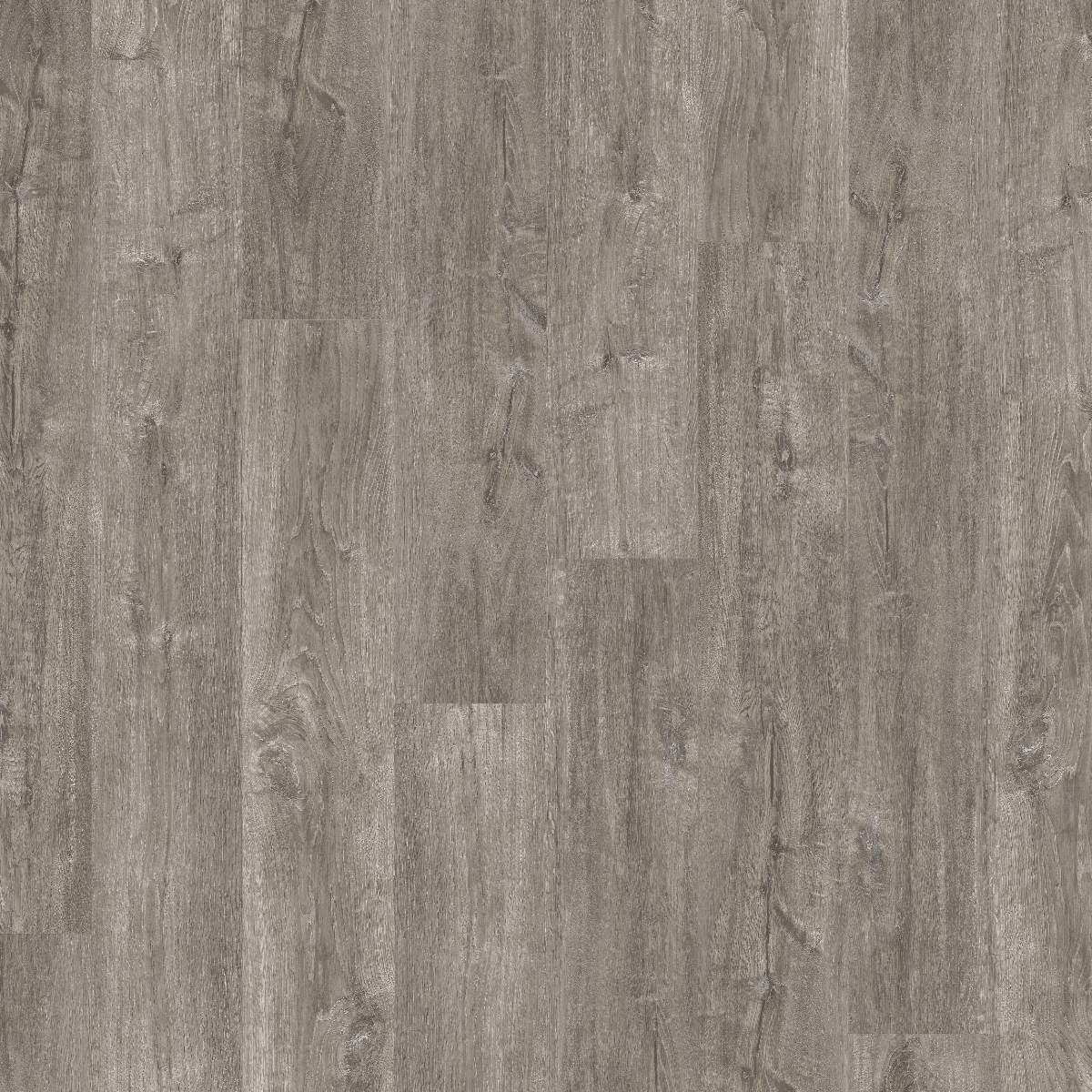 Vinylboden DESIGN 555 Dryback 1219 x 177 x 2.5 mm Klebevinyl Holzoptik Eiche Grau NKL42