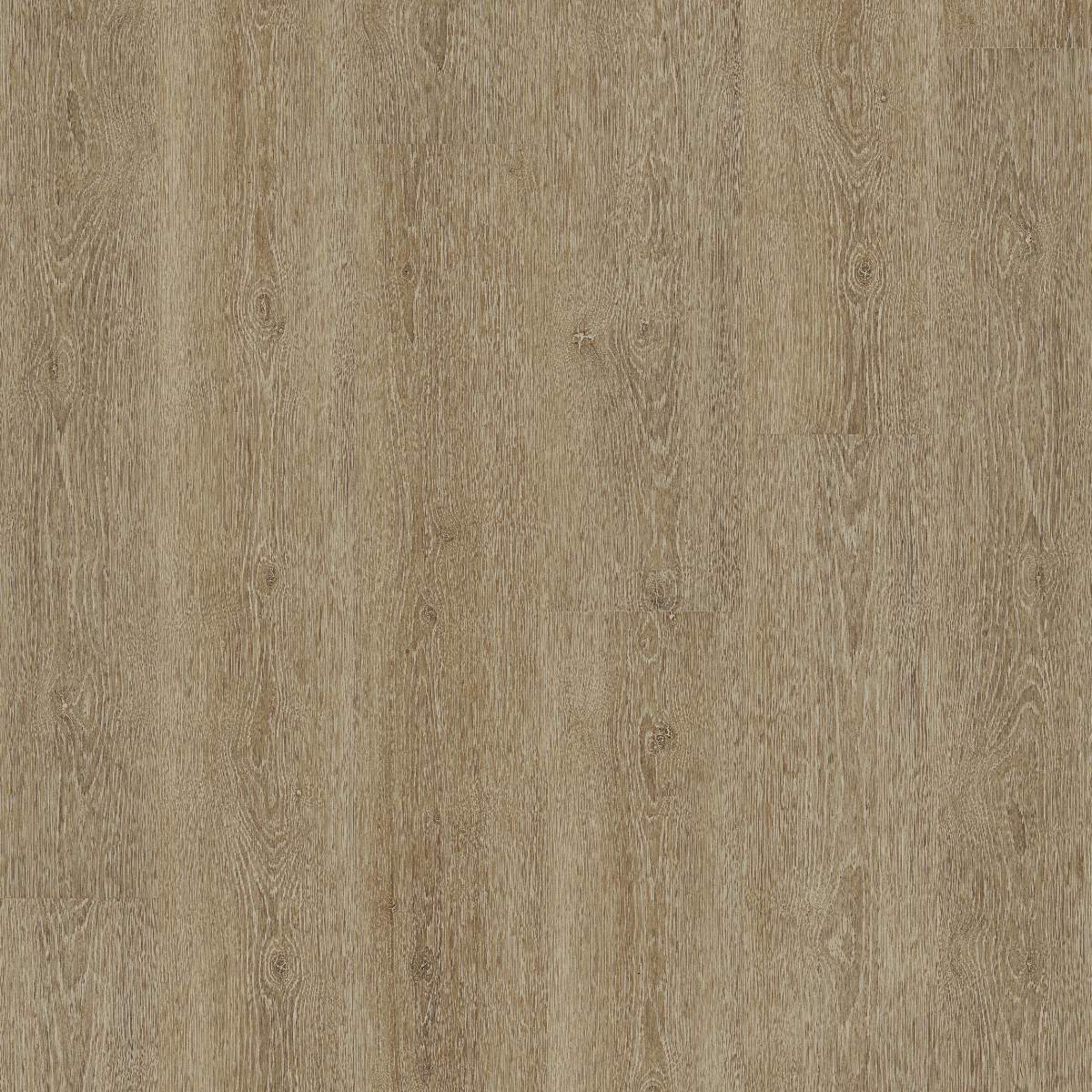 Vinylboden DESIGN 555 Dryback 1500 x 228 x 2.5 mm Klebevinyl Holzoptik Eiche Braun NKL42