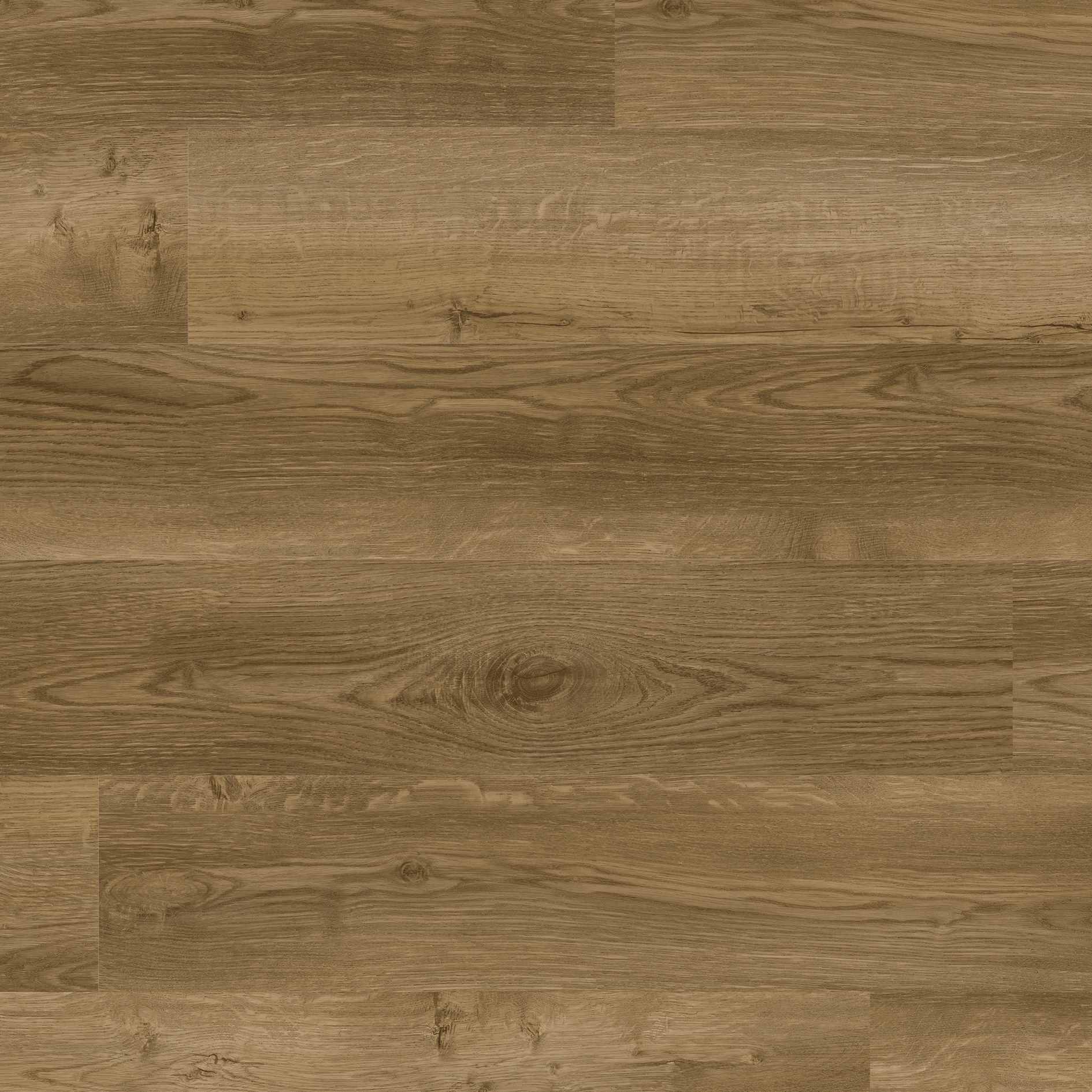 Design Vinylboden ECO+ ECO 3260/30 | 1219 x 183 x 2.5 mm Klebevinyl Holzoptik NKL32