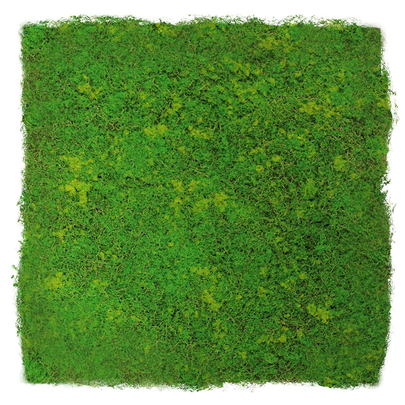 JANGAL Modular Wall Akustik Wandpaneel 520 x 520 x 30 mm Light Green Fibre Design Moos Pflanzenwand