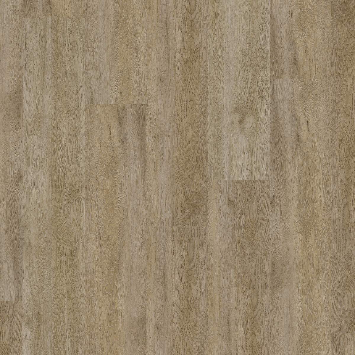 Vinylboden DESIGN 555 Dryback 1219 x 228 x 2.5 mm Klebevinyl Holzoptik Eiche Grau NKL42