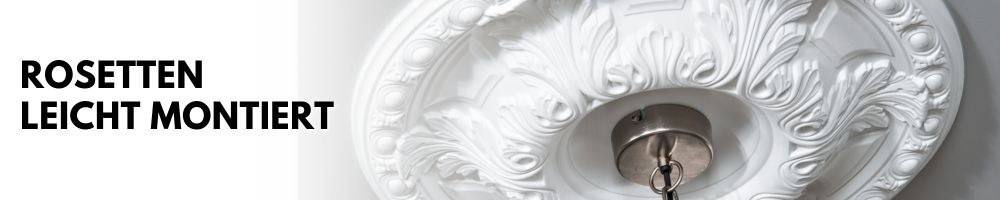 Rosetten_Banner_Artikel