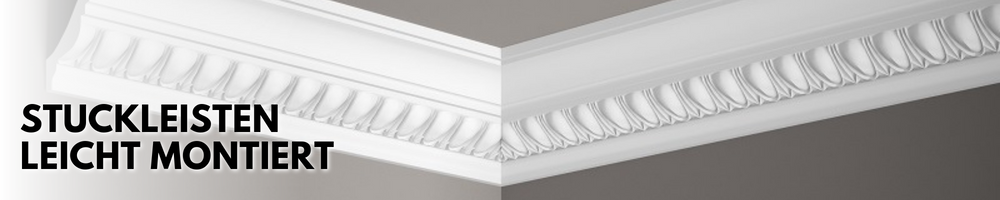 Stuckleisten_Banner_Beschreibung