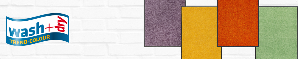 wash+dry TRENDCOLOUR wash_dry_trendcolour_banner